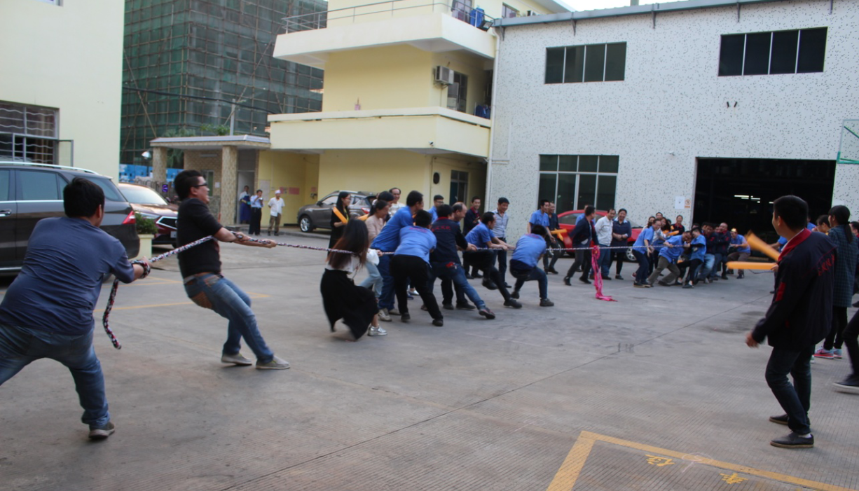 鑫風(fēng)運(yùn)動(dòng)會(huì) 鑫風(fēng)運(yùn)動(dòng)會(huì)